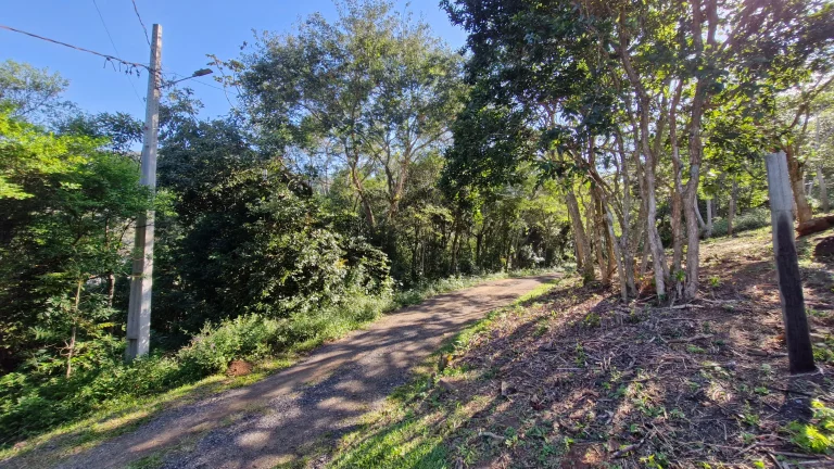 Imagem Terreno à venda no Siriú, Garopaba (SC), com 700m², leve declive e vista para o mar. A apenas 2km da praia, com água, luz e possibilidade de regulariz