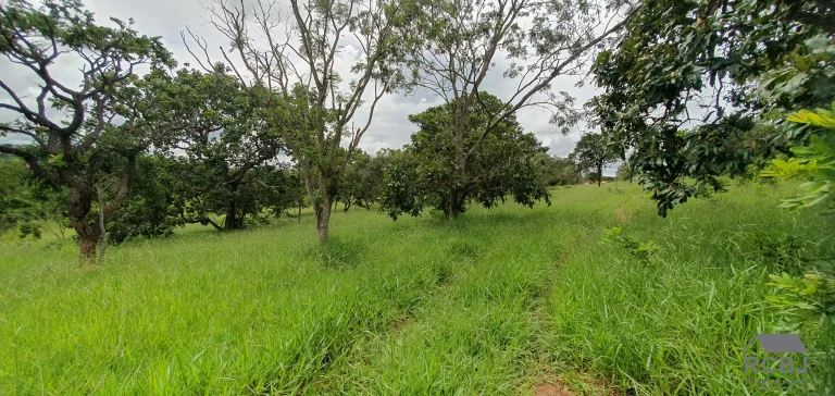 Imagem AREA RURAL em ESMERALDAS - MG, ANDIROBA