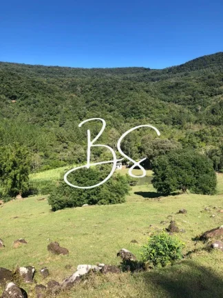 SITIO RURAL em SÃO FRANCISCO DE PAULA - RS, Padilha