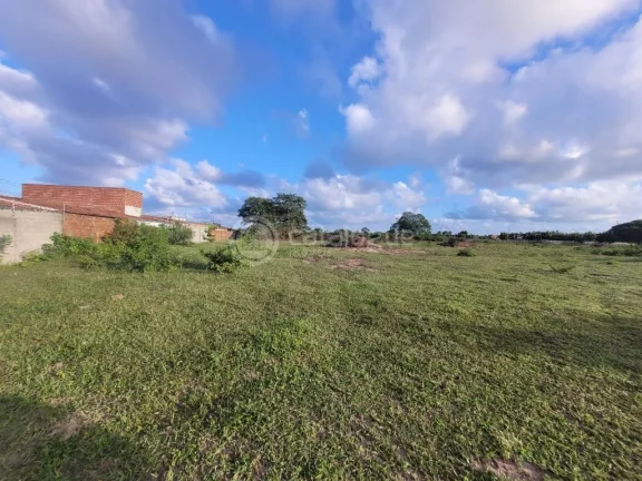 Imagem Área em Jardim - São Gonçalo do Amarante com 17ha