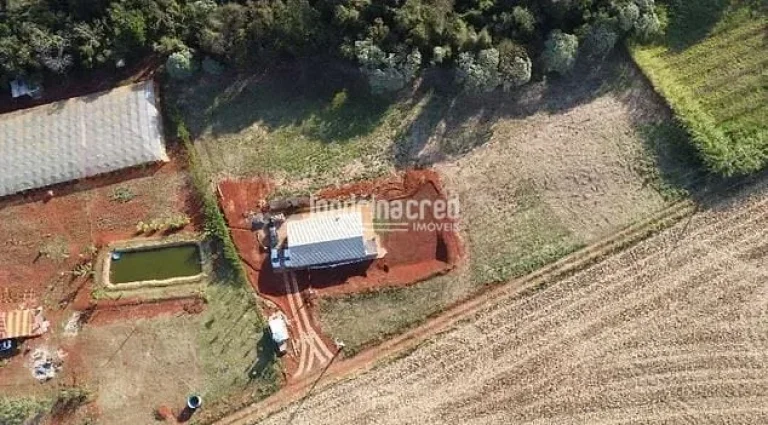 Imagem Chácara à venda 2 Quartos, 2 Suites, 10000M², Jardim Recanto dos Palmares, Apucarana - PR