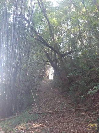 Imagem Terreno com 1.300² em condomínio fechado a Venda em Jarinu/SP
