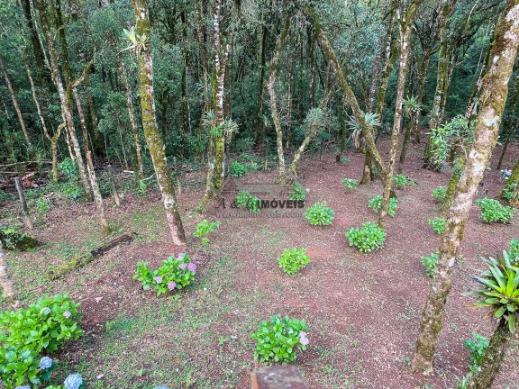 Imagem Casa à venda em Campos do Jordão - Belo imóvel com 3 dormitórios
