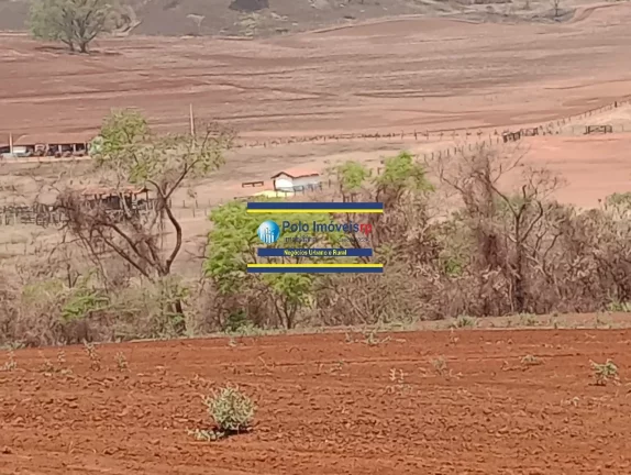 Imagem Fazenda 181 hectares montada para criação de bovinos até 220 cabeças e planta café, próximo de Altinópolis - São Paulo.