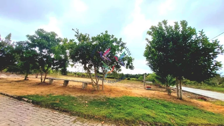 Imagem TERRANO DE 250 M²
