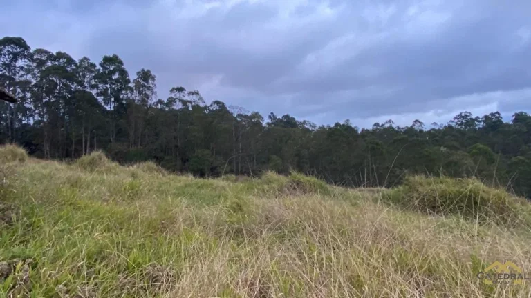 Imagem Ótima Área para Investimento em Jarinu