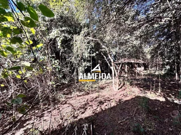 Imagem Chácara com 3 dormitórios à venda, 3618 m² por R$ 3.500.000,00 - Estádio - Rio Claro/SP