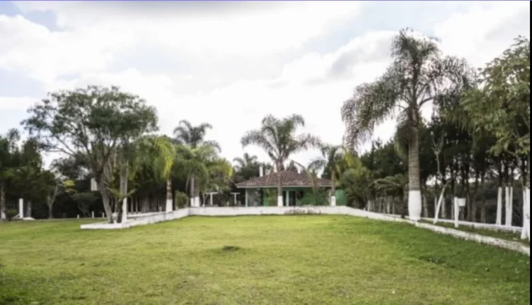 Imagem Fazenda para Venda - Roça Velha
