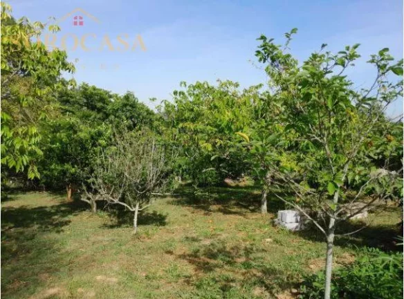 Imagem Chácara à Venda - 3.000m² - Jundiaquara Aracoiaba