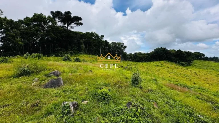 Imagem Chácara - Sítio com 3 Dormitorio(s) localizado(a) no bairro Zona Rural em Santa Maria do Herval / RIO GRANDE DO SUL Ref.:1546