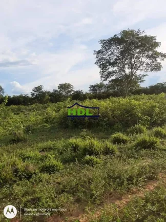 Imagem Fazenda 318 Alqs Barranca do Rio Araguaia em Araguaiana/MT