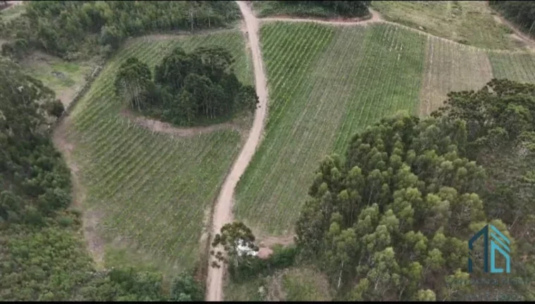 - Fazenda, Vinícola, Sítio, A VENDA, próximo ao centro de São Joaquim SC