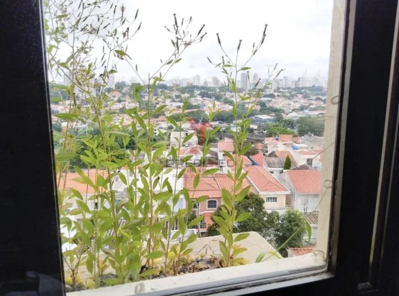 Imagem Excelente Apartamento em Mirandópolis