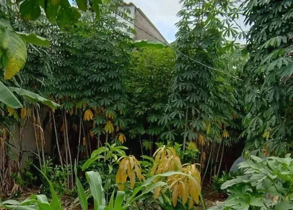 Imagem Lote à venda em Barroso, Nova Barroso, 292,90m2