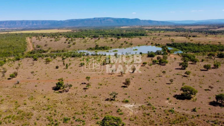 Imagem Fazenda a venda em Formosa: 281 hectares, água perene, dupla aptidão - escriturada e registrada.