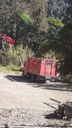 Imagem Chácara com 3 Quartos à Venda, 121.000 m² em Damião - Paraibuna