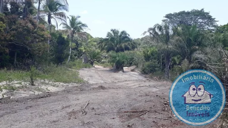 Imagem LOTES PARA VENDA TRANCOSO OPORTUNIDADE R$200.000,00