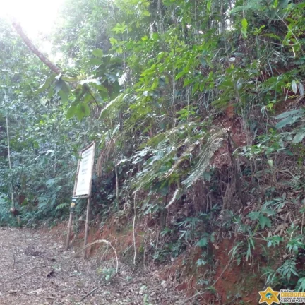 Imagem EXCELENTE TERRENO NA PRAIA DO FELIX
