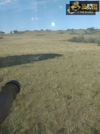 Imagem Fazenda para Venda no 2º Distrito de Piratini-RS