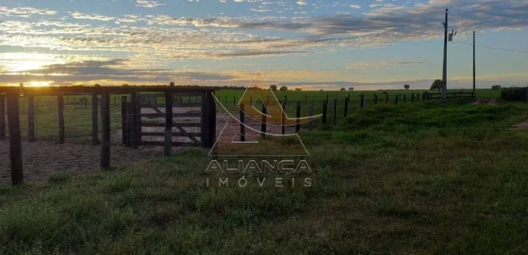 Imagem Fazenda - Guaraí - Guaraí