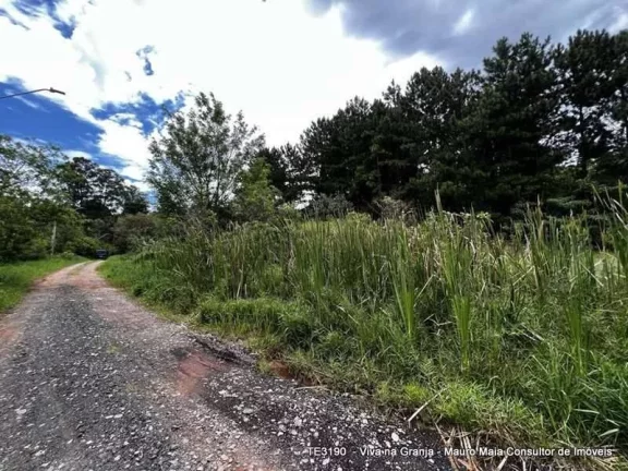 Imagem Fazendinha -LOTE 1.420,00 m², plano e limpo