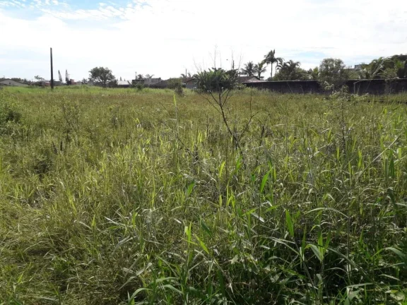 Imagem Terreno para Venda em Itanhaém, Estância Balneária de Itanhaém