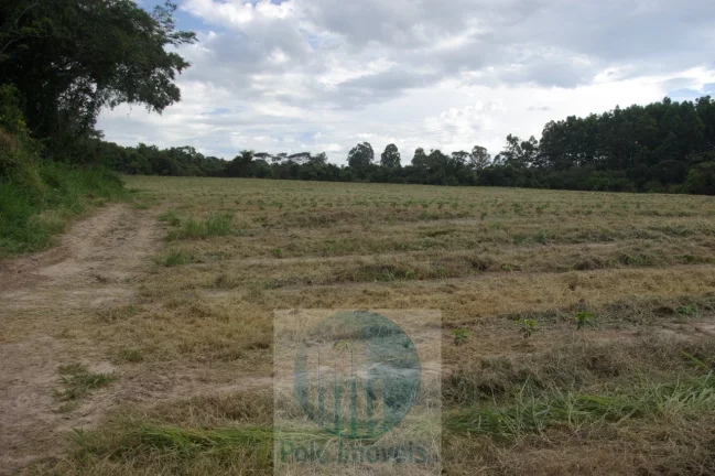 Imagem Fazenda 54 alqueires vende, casa, água, energia, plantação de café em São Sebastião do Paraíso - Minas Gerais