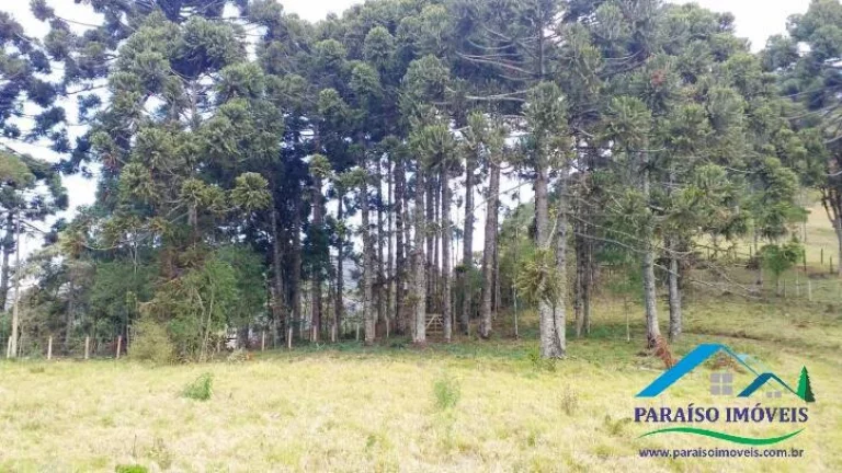 Imagem Paraíso Ecológico na Serra da Mantiqueira: Fazenda com 38,72 hectares!