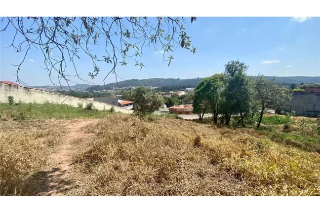 Imagem IRYROM 708 Lote 690591011-41