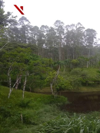Sítio á venda 7,2 Hectares Oportunidade