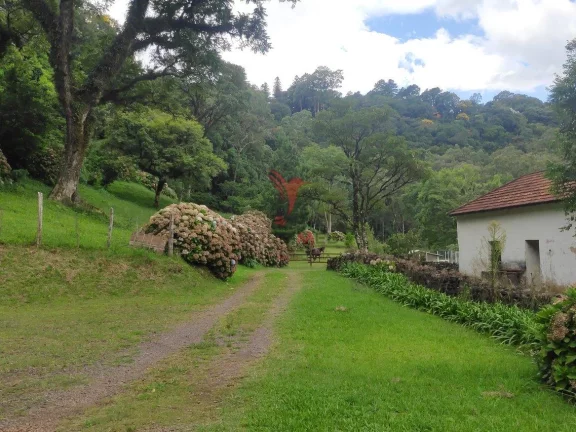 Imagem Lugar paradisíaco na cidade de Morro Reuter-RS, 5 imóveis 6,9 hectares