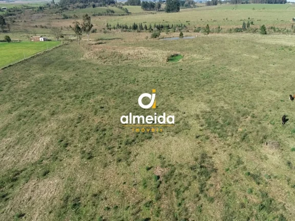 Imagem Campo à venda Zona rural Santa Maria/RS