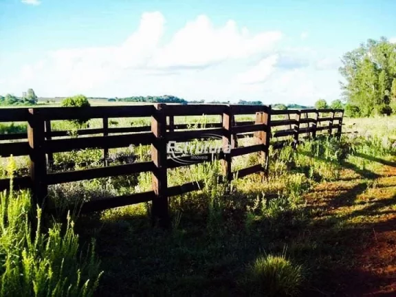 Imagem Ótima área rural com 145 hectares