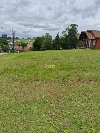 Imagem Terreno-Lote Residencial com 6 Dormitorio(s) localizado(a) no bairro Elsa em Viamão / Rio Grande do Sul Ref.:57580897