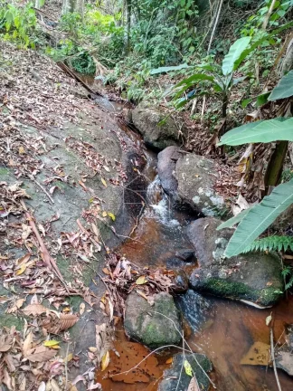 Imagem Chácaras em Santa Teresa 3000 metros