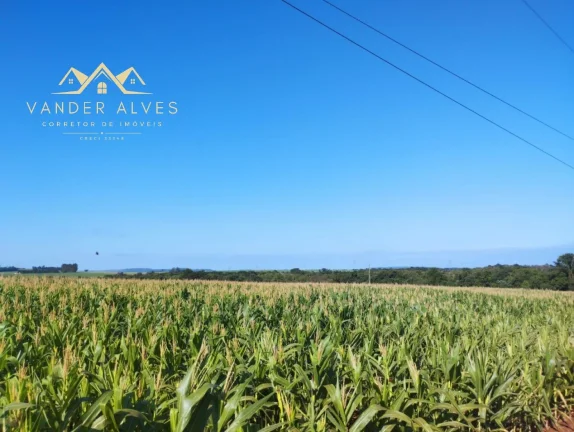 Imagem SITIO COMERCIAL em MARECHAL CÂNDIDO RONDON - PR, Zona rural
