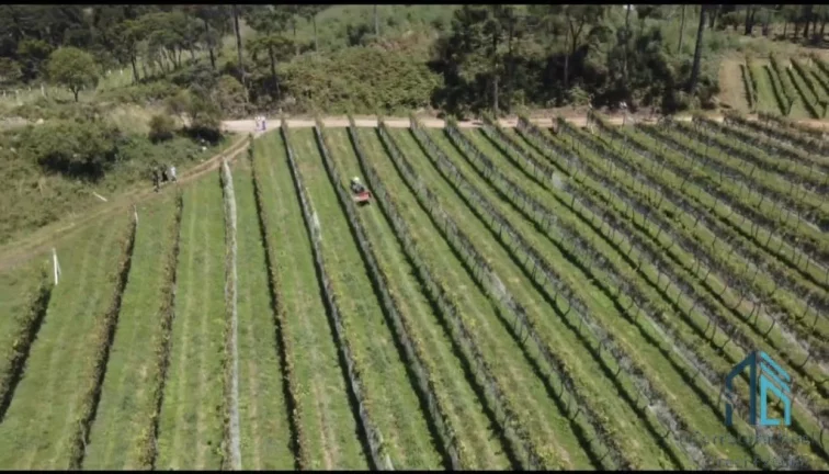 Imagem - Fazenda, Vinícola, Sítio, A VENDA, próximo ao centro de São Joaquim SC