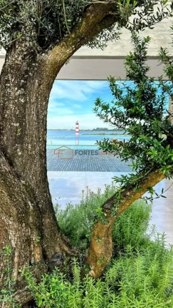Loteno Marina del Faro