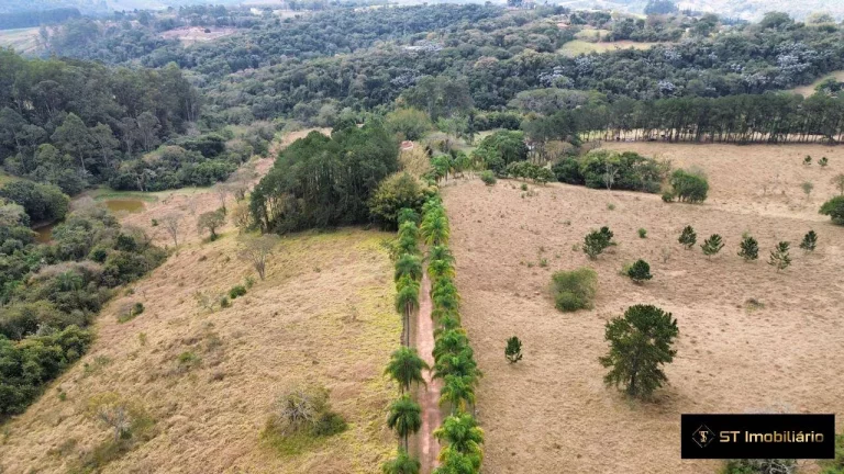 Imagem Sítio com Ótimo Acesso Asfaltado Atibaia 8 Alqueires
