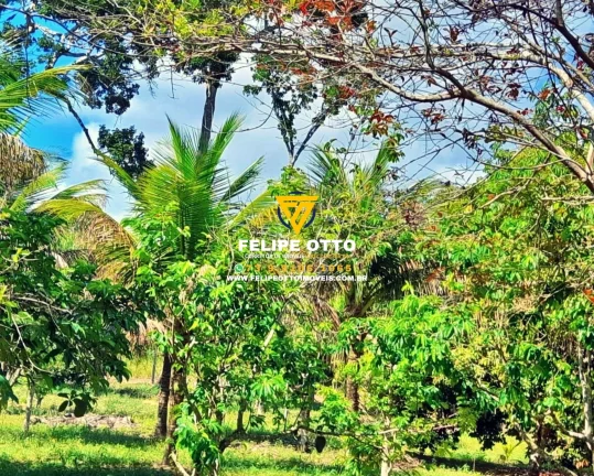 Imagem SITIO RESIDENCIAL em SANTA CRUZ CABRÁLIA - BA, yaya