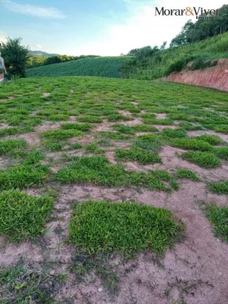 Imagem Chácara para Venda em Quitandinha, São Gabriel, 2 dormitórios, 1 banheiro, 3 vagas