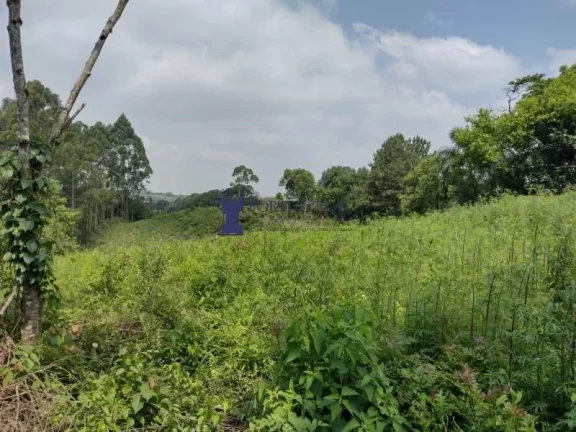 Imagem ÁREA RESIDENCIAL COM 10.000M²