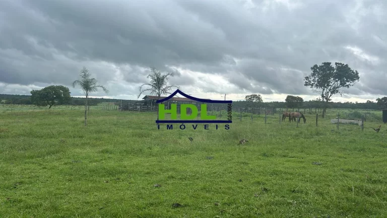 Imagem Fazenda 226 Alqs Dupla aptidão Natividade/TO