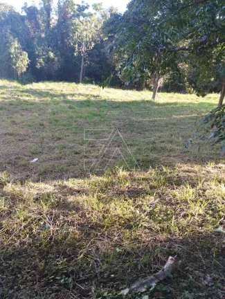 Imagem Terreno plano vila santista para investimento 8300 m2 menos área de preservação já detrminada