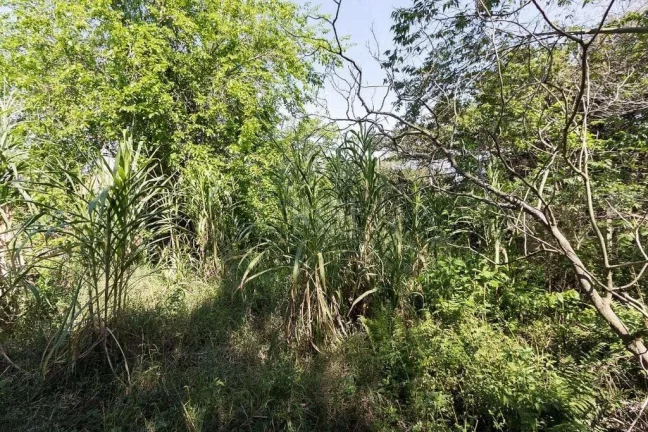 Imagem Terreno à venda no bairro Chapéu do Sol - Porto Alegre/RS