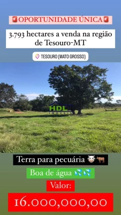 Imagem Fazenda com 783 Alqs em Tesouro MT