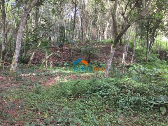 Imagem Terreno à venda, 1571 m² por R$ 450.000,00 - Chácara Represinha - Cotia/SP