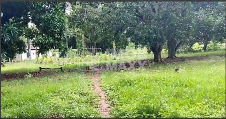 Imagem Chácara à Venda em Paranoá - DF250 - Fazenda Velha - 6,2 hectares - Escriturada e registrada.