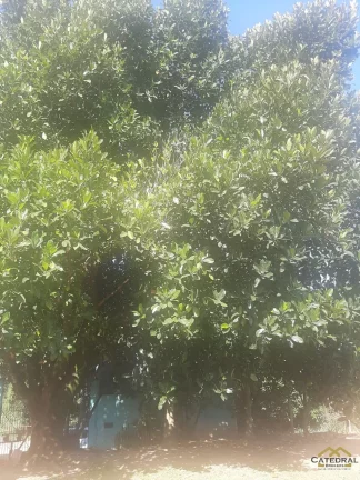 Imagem Chácara a venda no Vivenda - Bairro Rio Acima - Jundiaí - SP