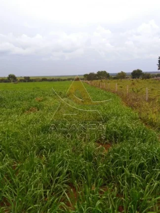 Imagem Fazenda - Guaraí - Guaraí
